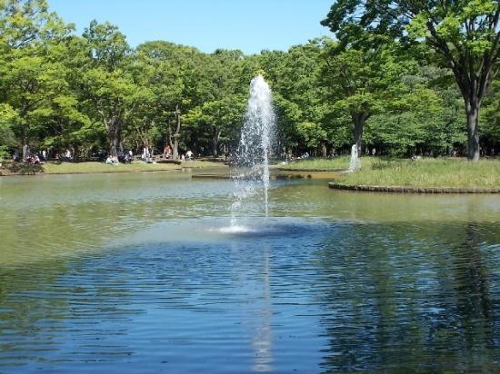 代々木公園